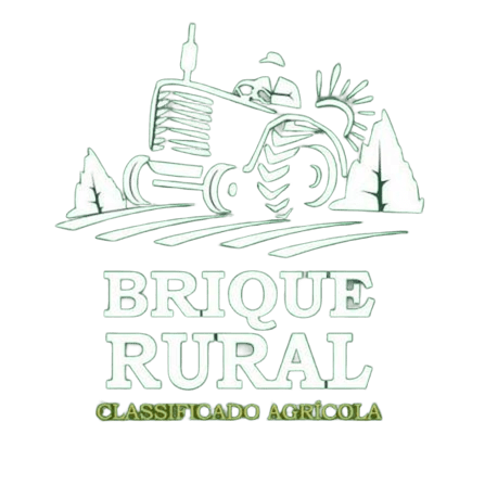 Logo Brique Rural